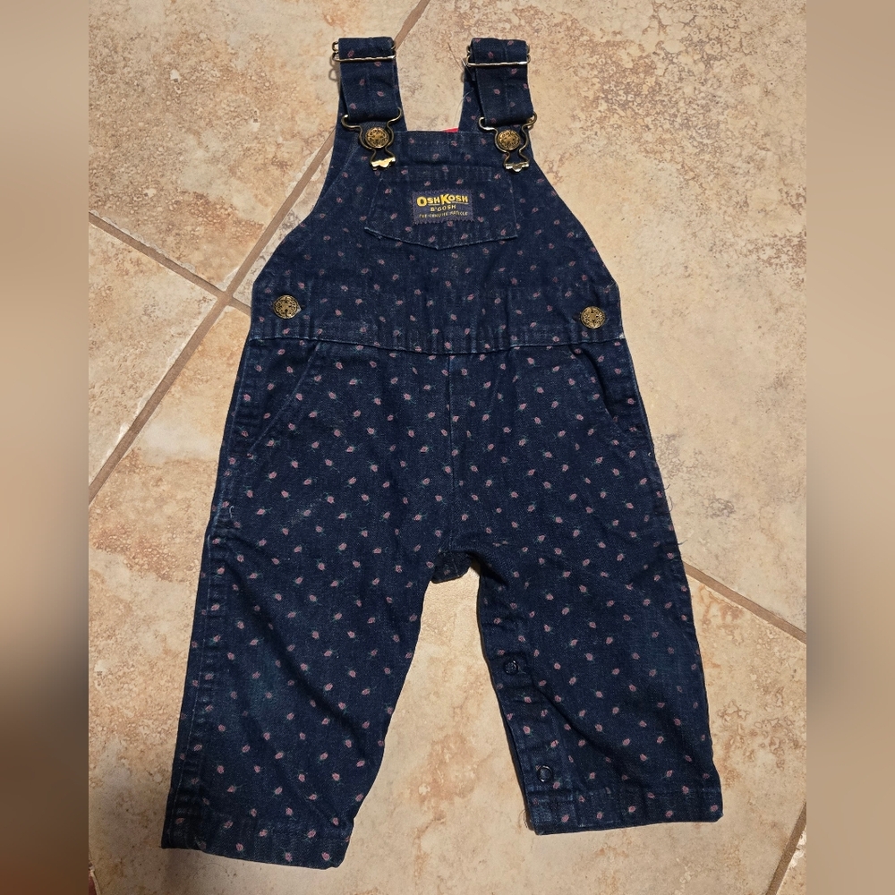 oshkosh b'gosh girls Vtg Blue Floral Overalls 12 Months